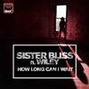 Sister Bliss - How Long Can I Wait (Dub Mix)