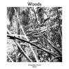 Dreamlike Studio - Woods
