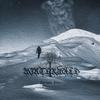 Winterwald - Die kalte Pein