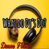 Duane Flames - What Do Dj's Do (Radio Edit)