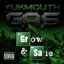 GAS (Grow And Sale)专辑