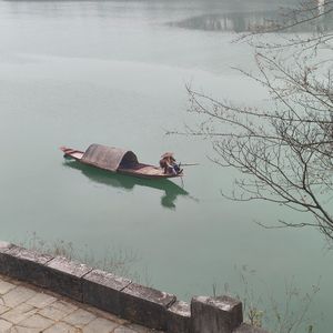 春意盎然图