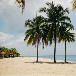 放慢生活步调（舒缓治愈音乐）