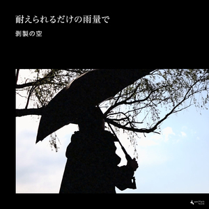 耐えられるだけの雨量で