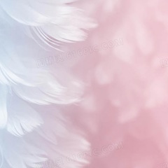 中场爆嗨主打曲-程小皓Remix