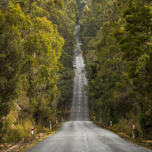 Test 4 (Instrumental)