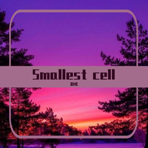 ¥Smallest cell¥