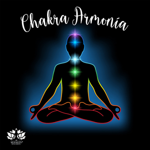 Experiencia Consciente