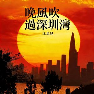 晚风吹过深圳湾