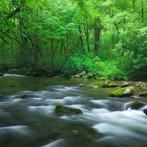雨滴声 放松减压助眠催眠曲