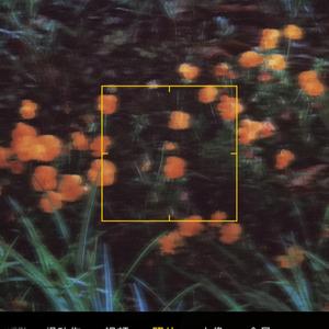 你和我和猫（翻自 沈以诚）