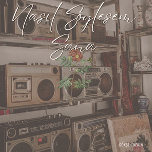 Nasıl Söylesem Sana?