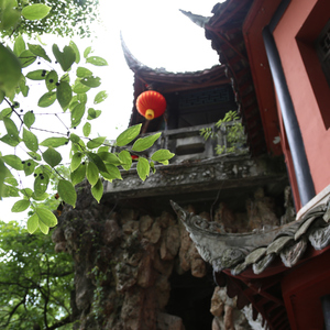 僵尸先生（带水印）