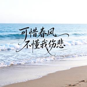 可惜春风不懂我伤悲（深情男声版）