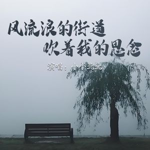 风流浪的街道吹着我的思念