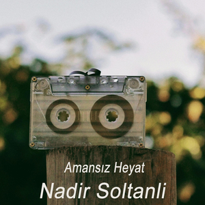 Amansız Heyat