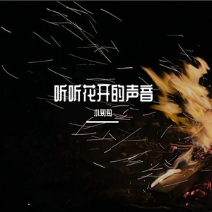 听听花开的声音