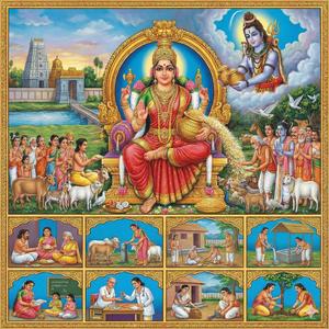 திருப்புகழ் 318 கனி தரும் கொக்கு (காஞ்சீபுரம்)