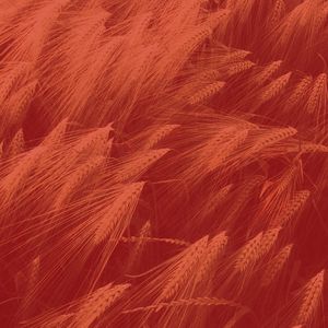 抚慰的温泉回忆