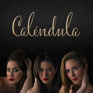 Caléndula por Sevillanas