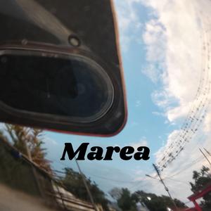 Marea