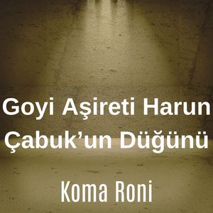 Goyi Aşireti Harun Çabuk’un Düğünü