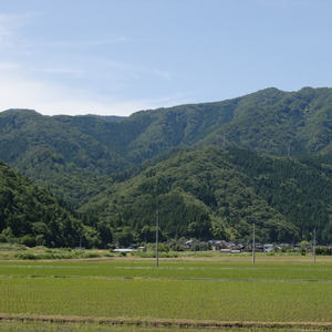 アミーゴ