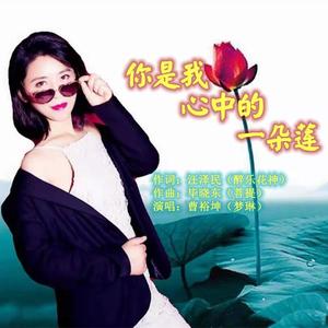 你是我心中的一朵莲 2 伴奏
