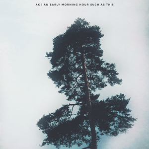 Please Help Me Navigate This Foolish Ground