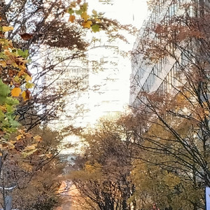 クリスマスの足音