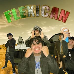 FLEXICAN