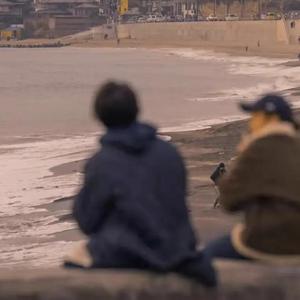 《从前慢》-没故事