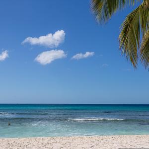 孕期小憩（钢琴）