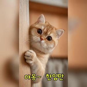 야옹 한입만