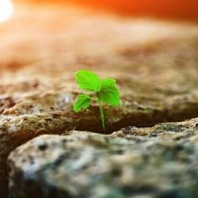 活（prod by Red killer）