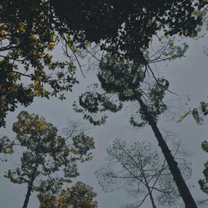 cahaya