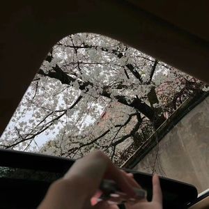 缺口（温柔女声版）（我家有喜片尾曲）