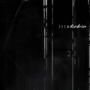 《大提琴与钢琴的舒缓对话之音疗之旅》