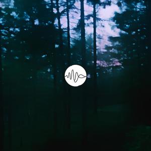 静けさを裂く銀の気配