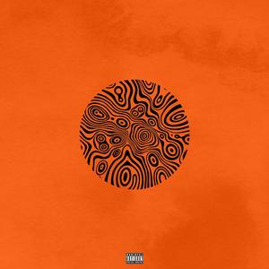 17 (**** all the plans)