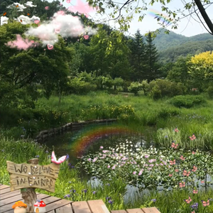 爱被不小心的伤害