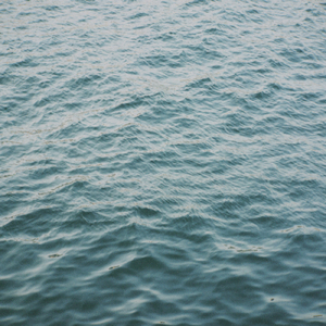 meaninglessness