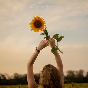 여름밤에 쓴 편지