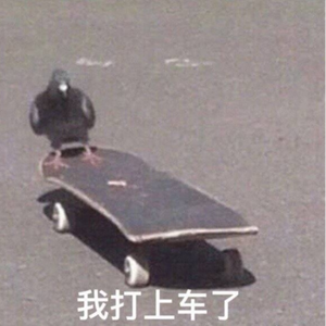 我还年轻 (抖音DJ版) (翻自 老王乐队)