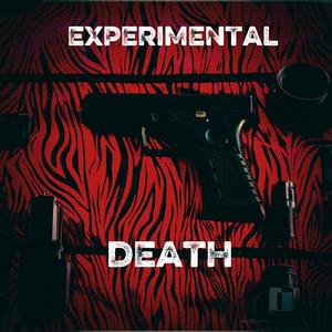 EXPERIMENTAL DEATH (feat. KILLRIDDLE, V3ND3TTA & MAMMON)