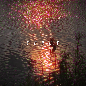 就如夕阳那般温顺