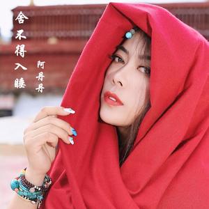 舍不得入睡 (伴奏)