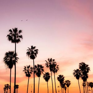 whirlwind （旋风）