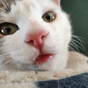 アオゾラのドライブ