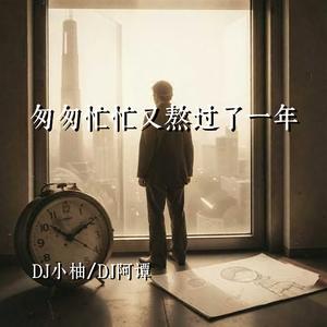 匆匆忙忙又熬过了一年(DJ版)